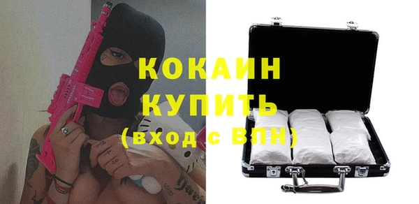дживик Балахна