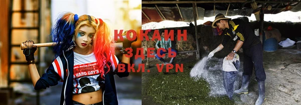 дживик Балахна