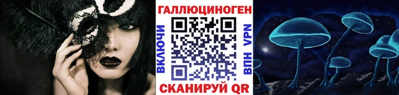 Галлюциногенные грибы Psilocybine cubensis  наркошоп  Заречный 